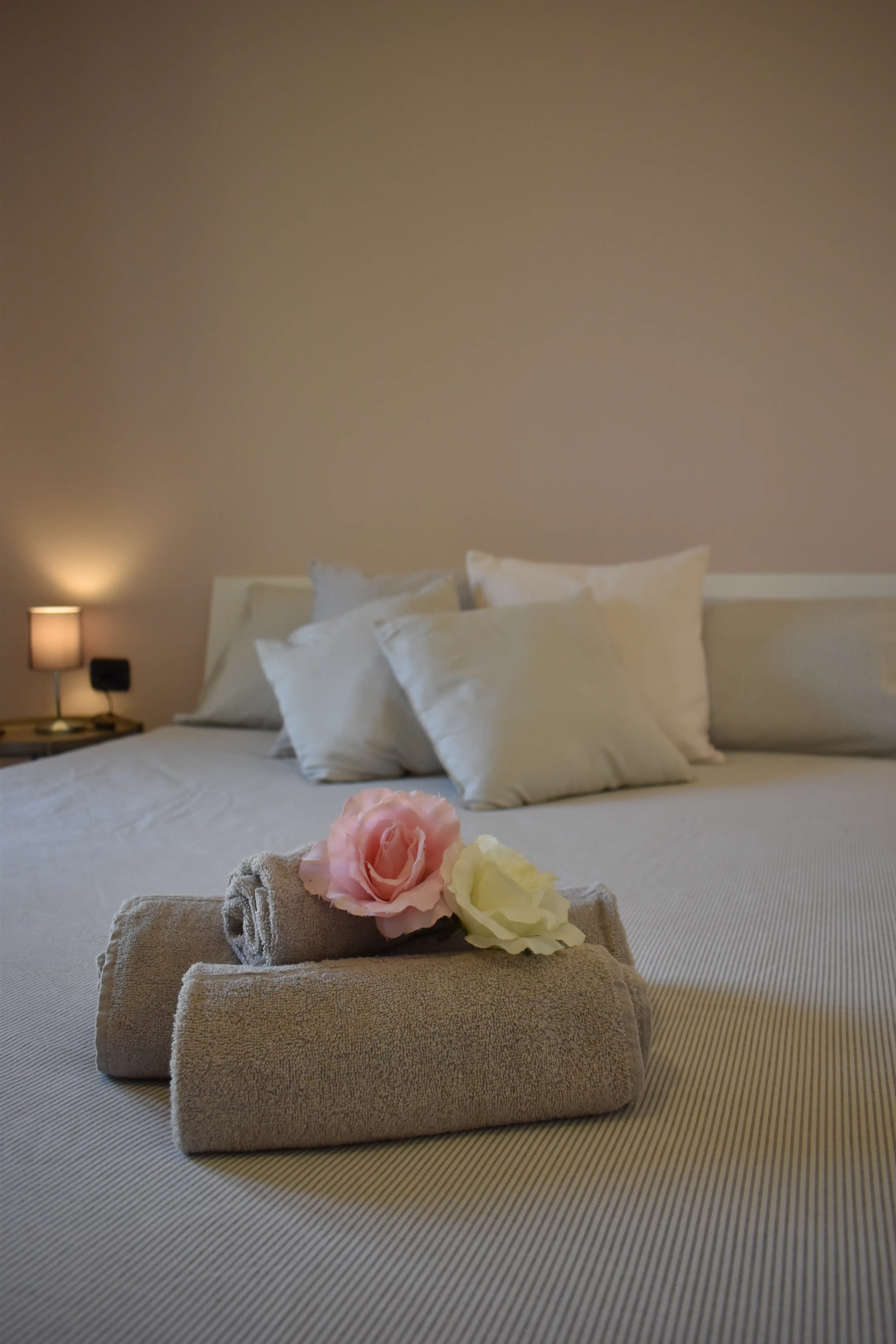 Felice House - Esterno